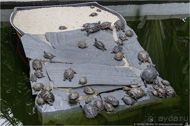 Мадрид снизу и изнутри (Madrid, Spain)