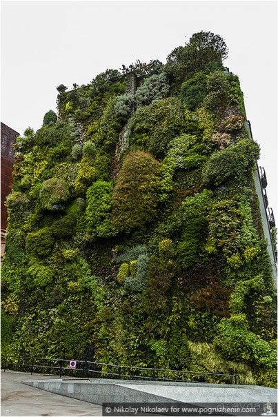 Мадрид снизу и изнутри (Madrid, Spain)