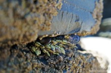 Альбом отзыва "Загадка Катедраиса (Galicia, Spain)"