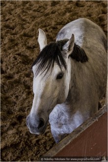 Ронда: испанский рай на скале (Ronda, Spain)
