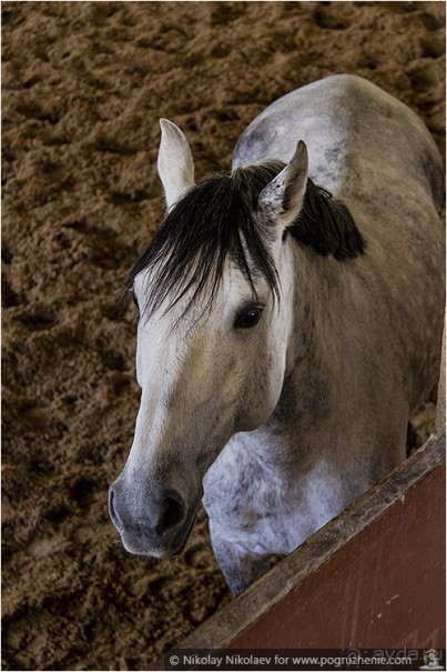 Ронда: испанский рай на скале (Ronda, Spain)