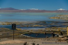 Покорение Америки. Часть 11. День 10: Марсианская сага (Near Eduardo Avaroa National Reserve, Bolivi