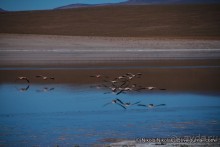 Покорение Америки. Часть 11. День 10: Марсианская сага (Near Eduardo Avaroa National Reserve, Bolivi