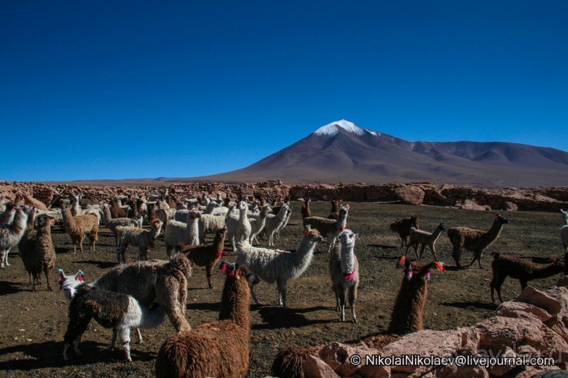Покорение Америки. Часть 11. День 10: Марсианская сага (Near Eduardo Avaroa National Reserve, Bolivi
