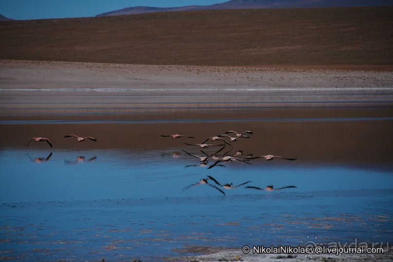 Покорение Америки. Часть 11. День 10: Марсианская сага (Near Eduardo Avaroa National Reserve, Bolivi