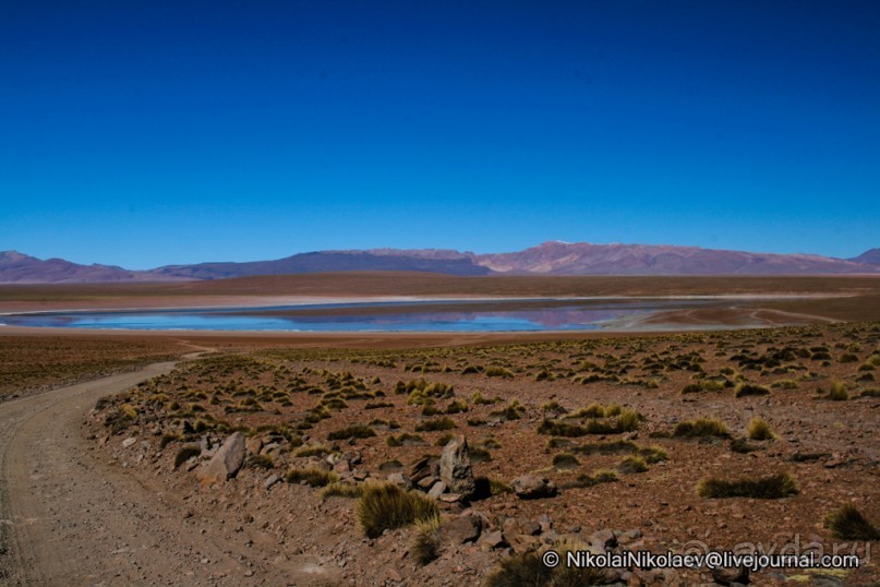 Покорение Америки. Часть 11. День 10: Марсианская сага (Near Eduardo Avaroa National Reserve, Bolivi