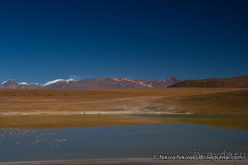 Покорение Америки. Часть 11. День 10: Марсианская сага (Near Eduardo Avaroa National Reserve, Bolivi