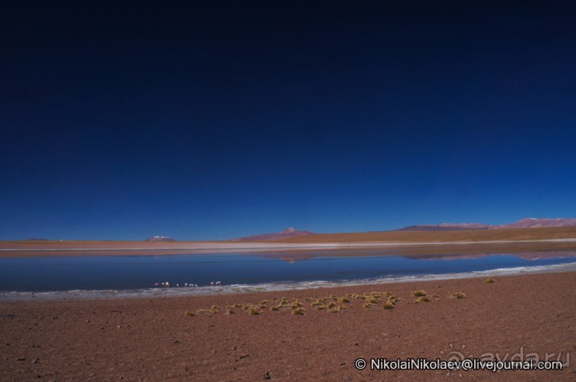 Покорение Америки. Часть 11. День 10: Марсианская сага (Near Eduardo Avaroa National Reserve, Bolivi