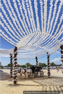 Дикая Испания в Эль Росио (El Rocío, Spain)