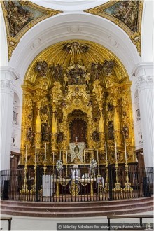 Дикая Испания в Эль Росио (El Rocío, Spain)