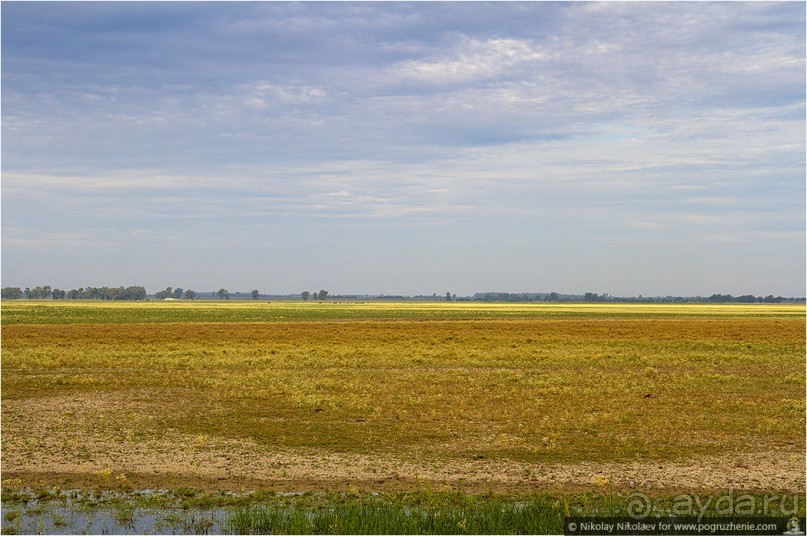 Дикая Испания в Эль Росио (El Rocío, Spain)