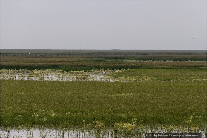Альбом отзыва "Дикая Испания в Эль Росио (El Rocío, Spain)"