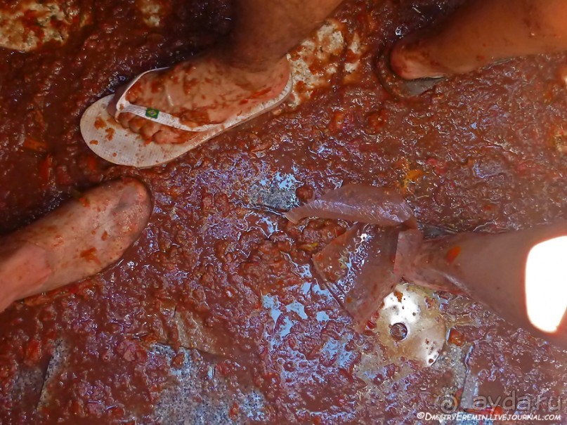 Море кетчупа… Томатина 2012 (Bunol, Spain)