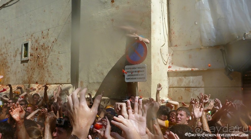 Море кетчупа… Томатина 2012 (Bunol, Spain)