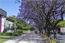 Буэнос-Айрес — город живых и мертвых (Buenos Aires, Argentina)