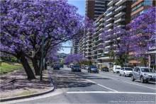 Буэнос-Айрес — город живых и мертвых (Buenos Aires, Argentina)