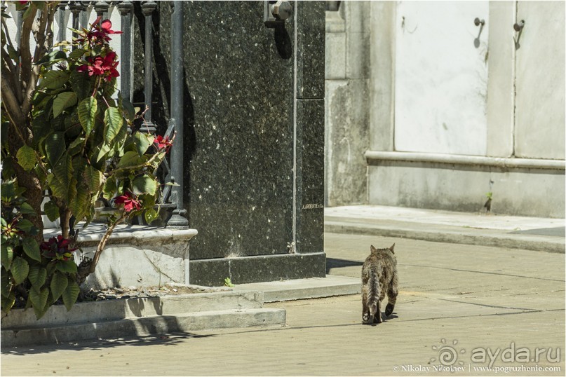 Буэнос-Айрес — город живых и мертвых (Buenos Aires, Argentina)