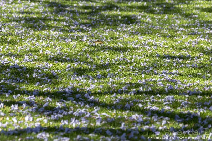 Буэнос-Айрес — город живых и мертвых (Buenos Aires, Argentina)