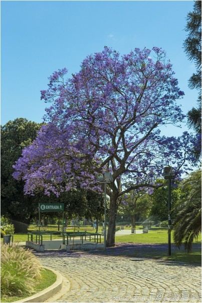 Буэнос-Айрес — город живых и мертвых (Buenos Aires, Argentina)