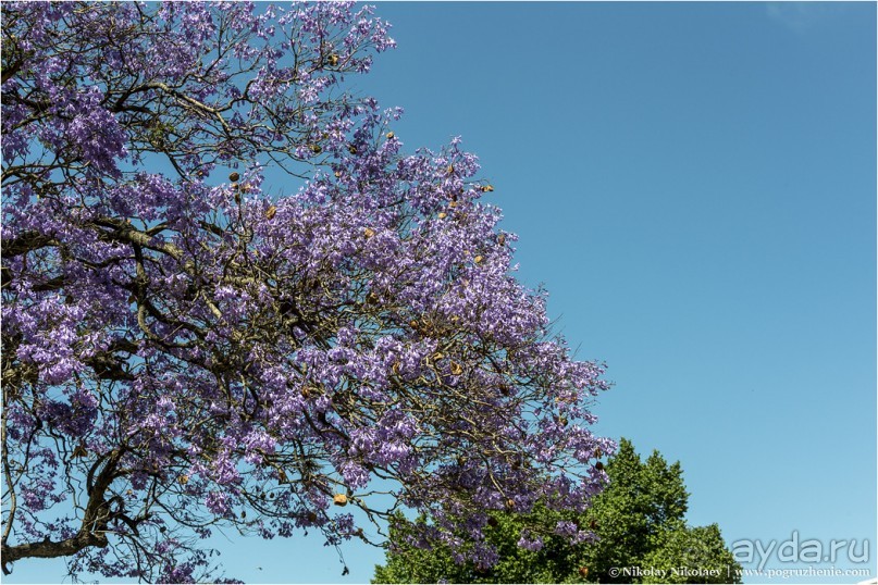 Буэнос-Айрес — город живых и мертвых (Buenos Aires, Argentina)