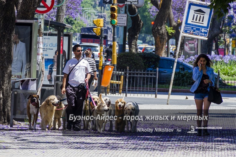 <a href=/argentina/buenos-aires/>Буэнос-Айрес</a> — город живых и мертвых (Buenos Aires, Argentina)