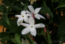 Покорение Америки: Часть 5. День 4: Каменная любовь (Sacred Valley, Peru)