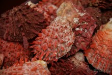 Покорение Америки: Часть 5. День 4: Каменная любовь (Sacred Valley, Peru)