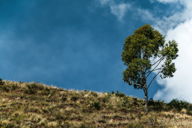 Покорение Америки: Часть 5. День 4: Каменная любовь (Sacred Valley, Peru)