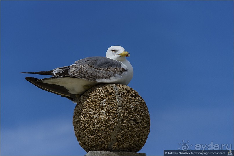 Желанный Кадис (Сadiz, Spain)