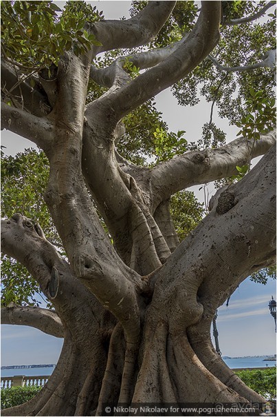 Желанный Кадис (Сadiz, Spain)