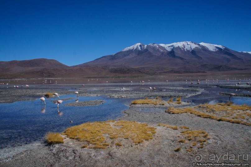 Покорение Америки: Часть 13. День 11: В гостях у сюрреализма (Potosí Region, Bolivia)