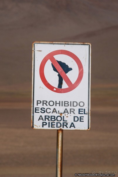 Покорение Америки: Часть 13. День 11: В гостях у сюрреализма (Potosí Region, Bolivia)