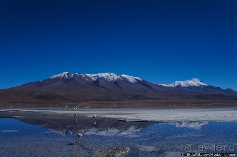 Покорение Америки: Часть 13. День 11: В гостях у сюрреализма (Potosí Region, Bolivia)
