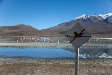 Покорение Америки: Часть 13. День 11: В гостях у сюрреализма (Potosí Region, Bolivia)