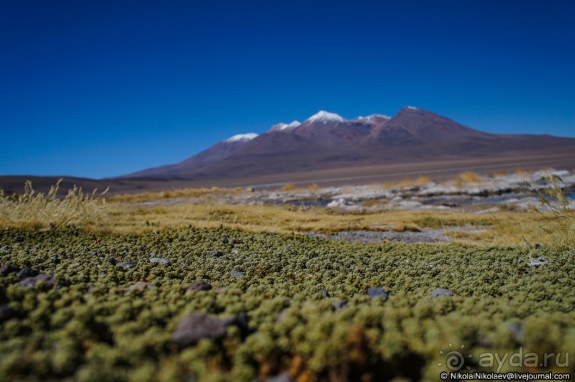 Покорение Америки: Часть 13. День 11: В гостях у сюрреализма (Potosí Region, Bolivia)