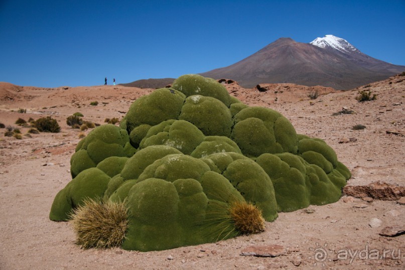 Покорение Америки: Часть 13. День 11: В гостях у сюрреализма (Potosí Region, Bolivia)