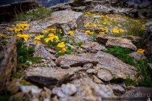 Эльбрус, часть 1: Чегет (Cheget, Russia)