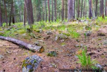 Эльбрус, часть 1: Чегет (Cheget, Russia)