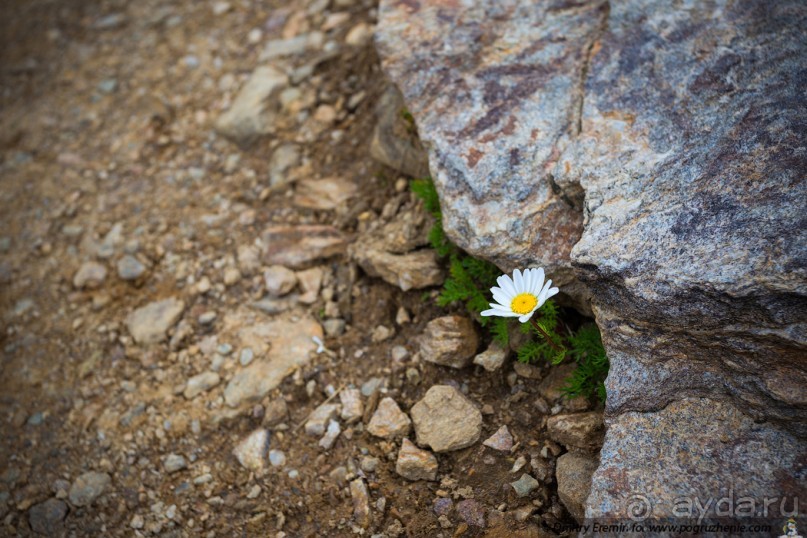 Эльбрус, часть 1: Чегет (Cheget, Russia)