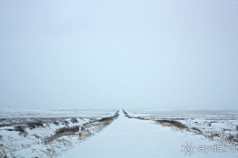 «Открытие Исландии» часть 9: Прорыв к Деттифоссу (Dettifoss, Iceland)