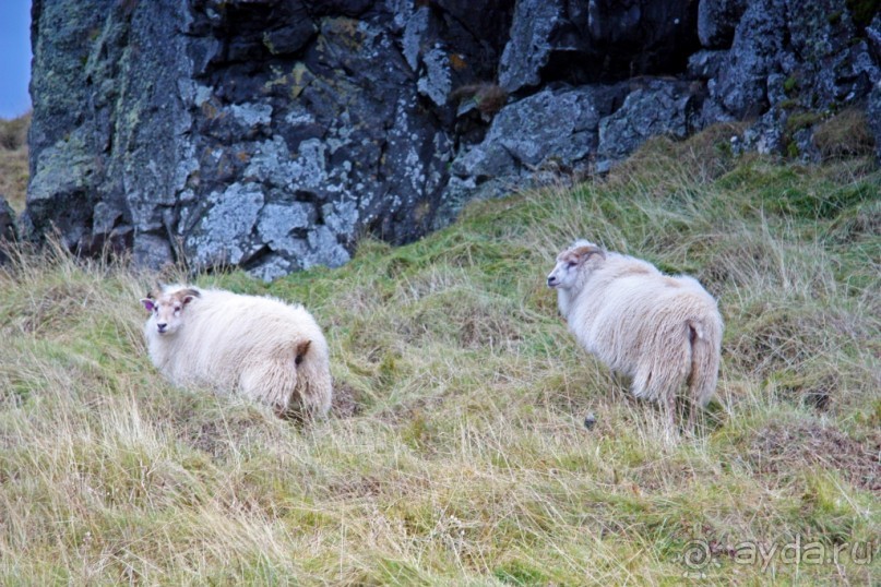 «Открытие Исландии» часть 13: Дорога, дорога, дорога… (West Iceland)