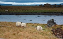 «Открытие Исландии» часть 13: Дорога, дорога, дорога… (West Iceland)