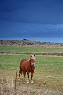 «Открытие Исландии» часть 13: Дорога, дорога, дорога… (West Iceland)