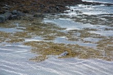 «Открытие Исландии» часть 13: Дорога, дорога, дорога… (West Iceland)