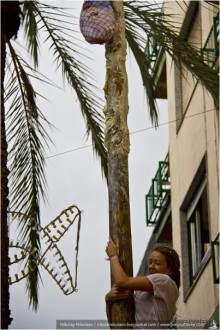 Томатина 2013 (часть 1) (Buñol, Spain)