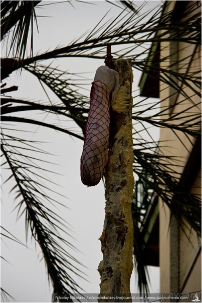 Томатина 2013 (часть 1) (Buñol, Spain)