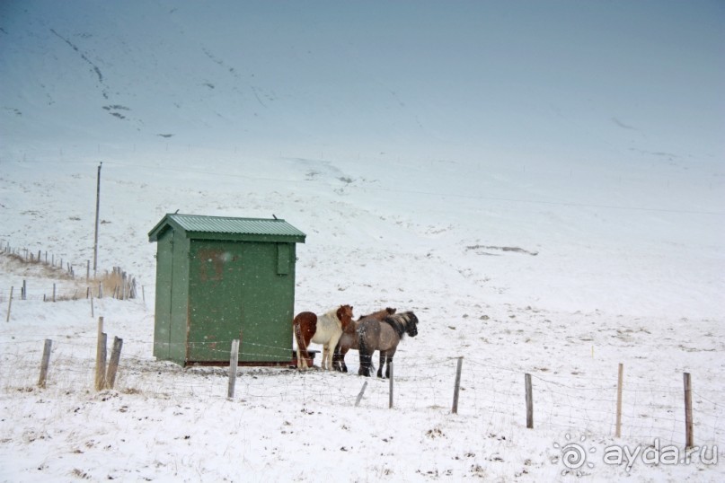 «Открытие Исландии» часть 8: Белое Безмолвие (East cost, Iceland)