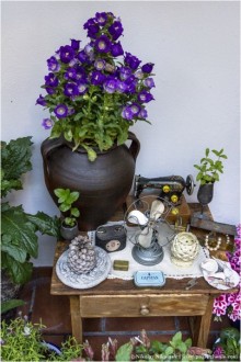 Кордовское патио или как оформить подъезд (Cordoba, Spain)