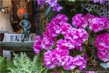 Кордовское патио или как оформить подъезд (Cordoba, Spain)