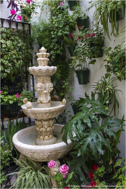 Кордовское патио или как оформить подъезд (Cordoba, Spain)